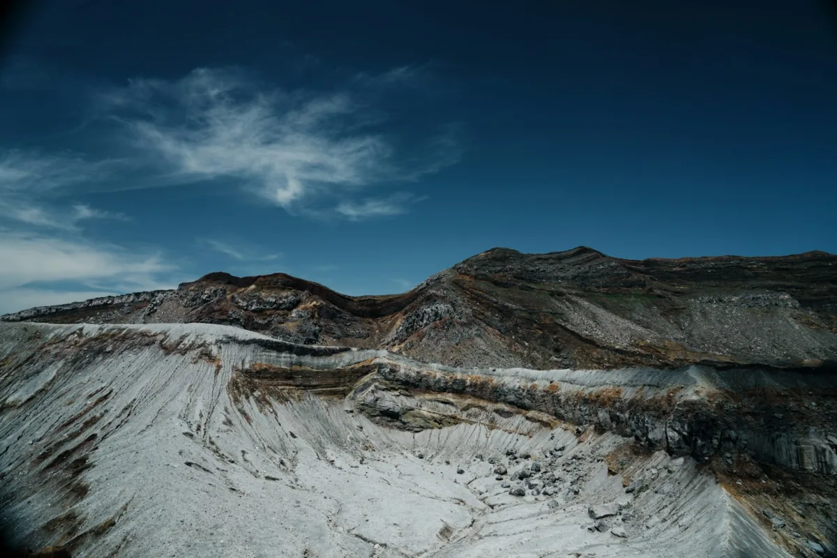 Industrial Joysticks